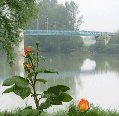 O Taste and See: Writing the Senses in Deep France